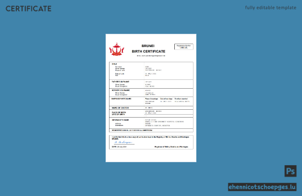 Brunei Geburtsurkunde (Word- und PDF-Beispiel)